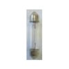 Festoon Bulb 12V