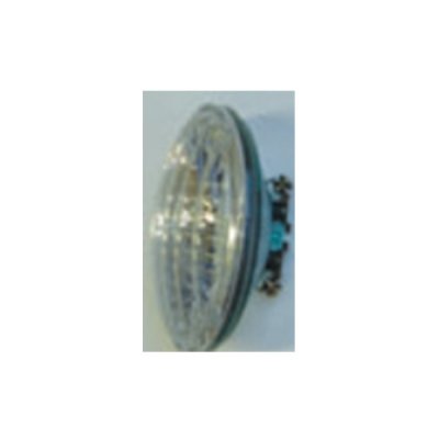 Sealed Bulb 24V