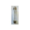 Festoon Bulb 12V
